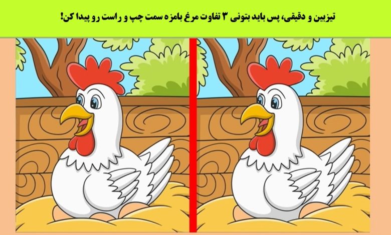آزمون شناسایی تفاوت مرغ بامزه