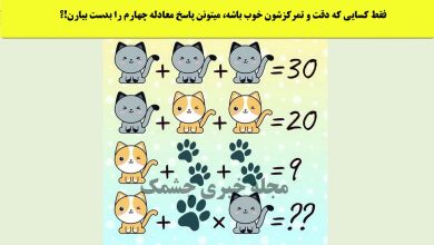 تست ریاضی با معادلات تصویر گربه