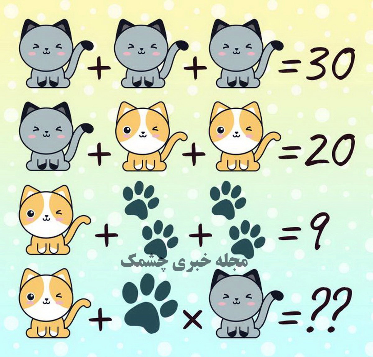 تست ریاضی با معادلات تصویر گربه