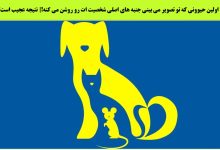 تست شخصیت متکی به تفاوت دید