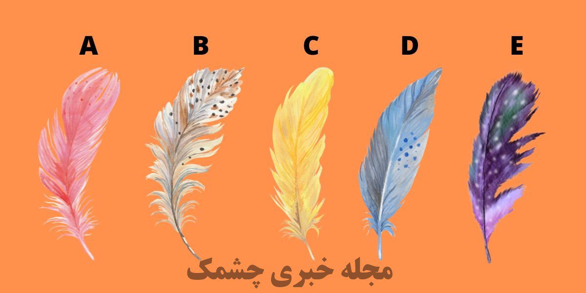 تست شخصیت مبتنی بر انتخاب پر