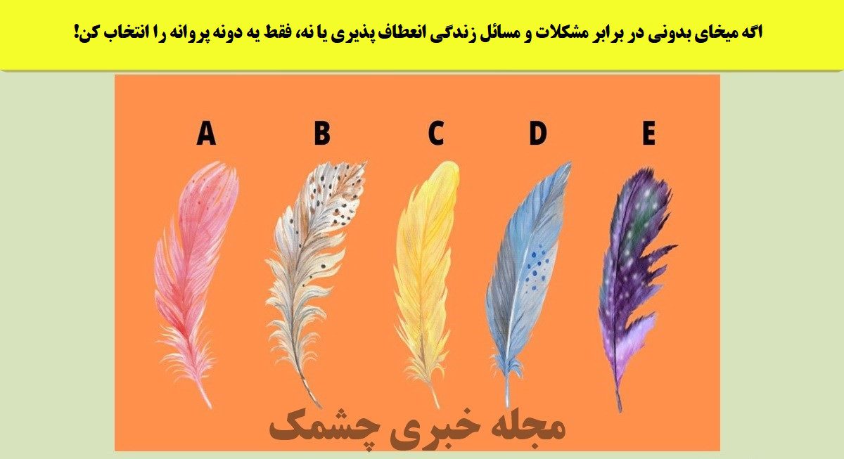 تست شخصیت مبتنی بر گزینش پر