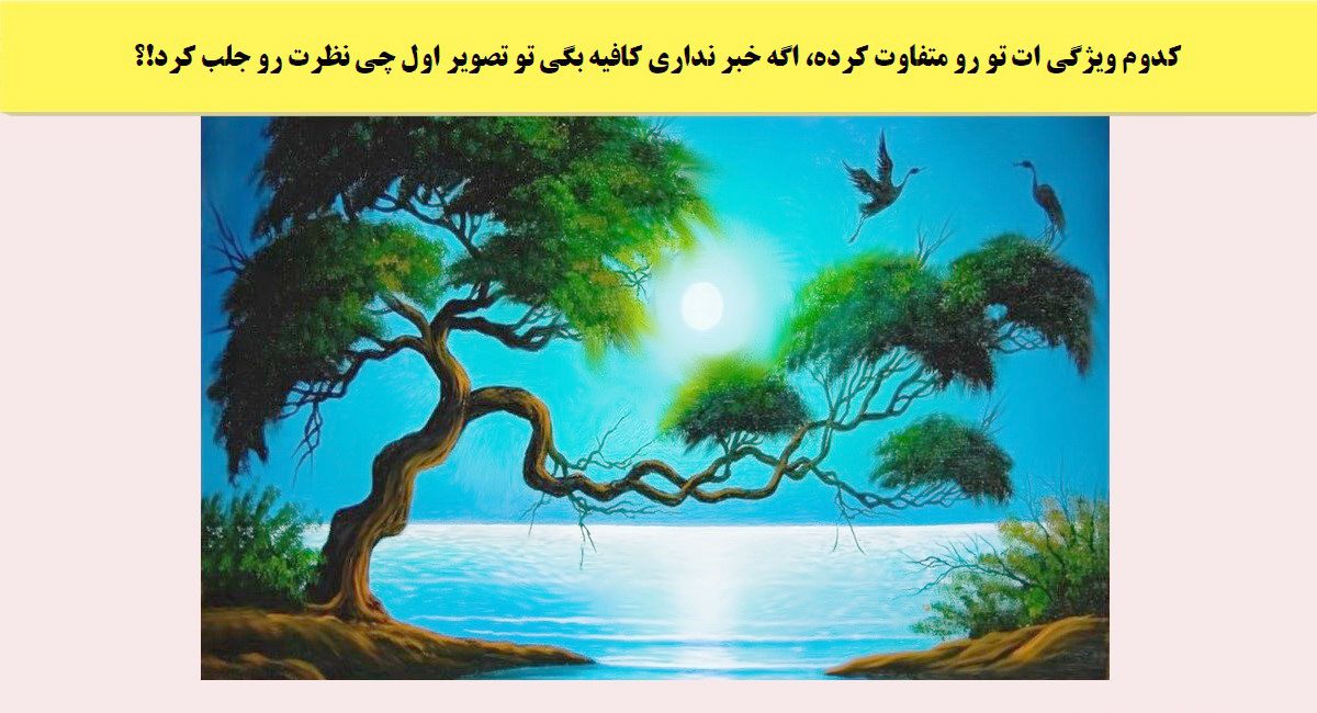 تست شخصیت وابسته به دید اول