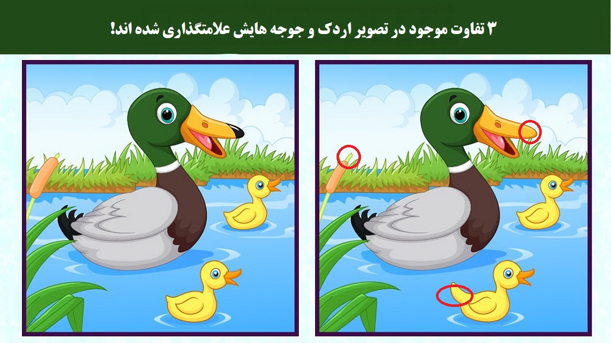 شناسایی تفاوت تصویر اردک برکه