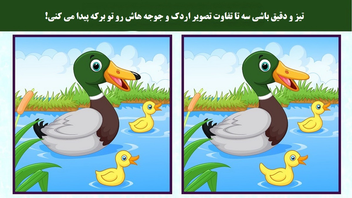 آزمون شناسایی تفاوت تصویر اردک برکه