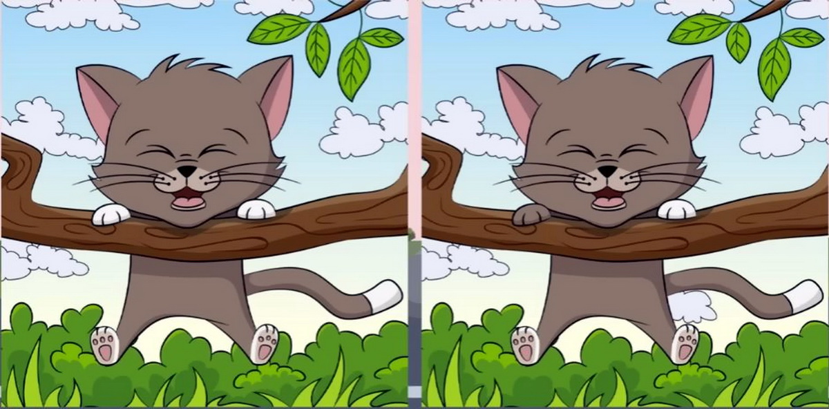 آزمون شناسایی تفاوت تصویر گربه شیطون