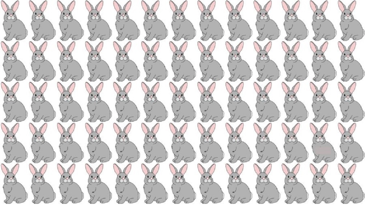آزمون قدرت دید با خرگوش متفاوت