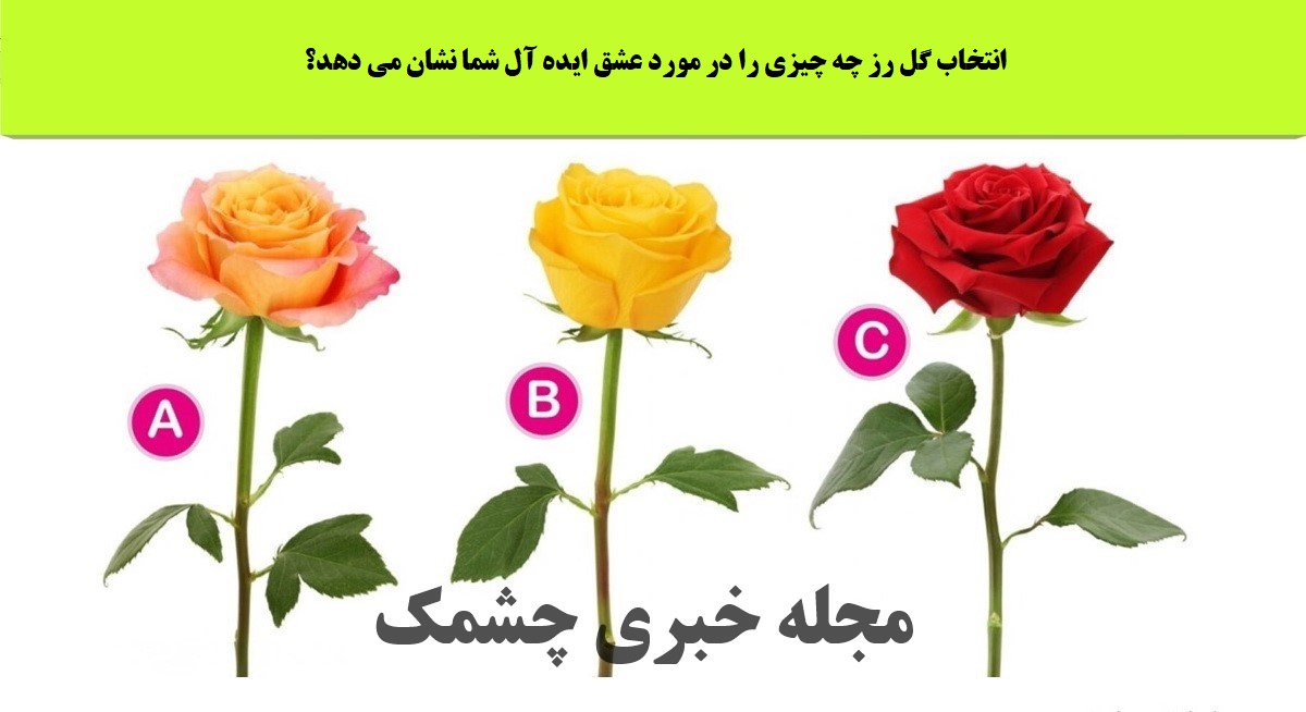 تست شخصیت براساس انتخاب گل رز
