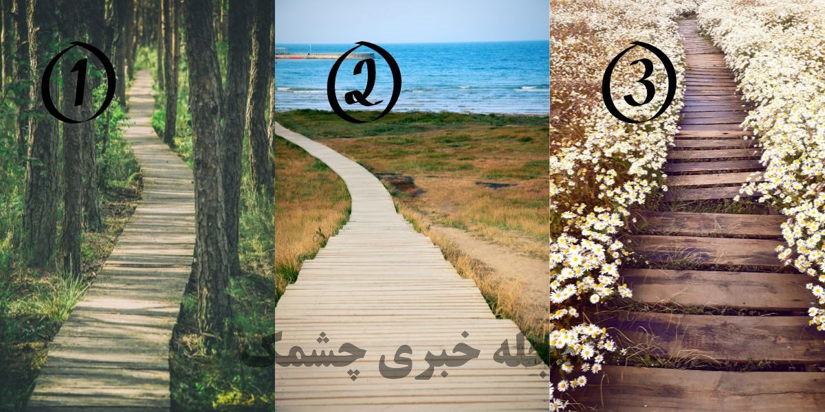 تست مبتنی به انتخاب مسیر