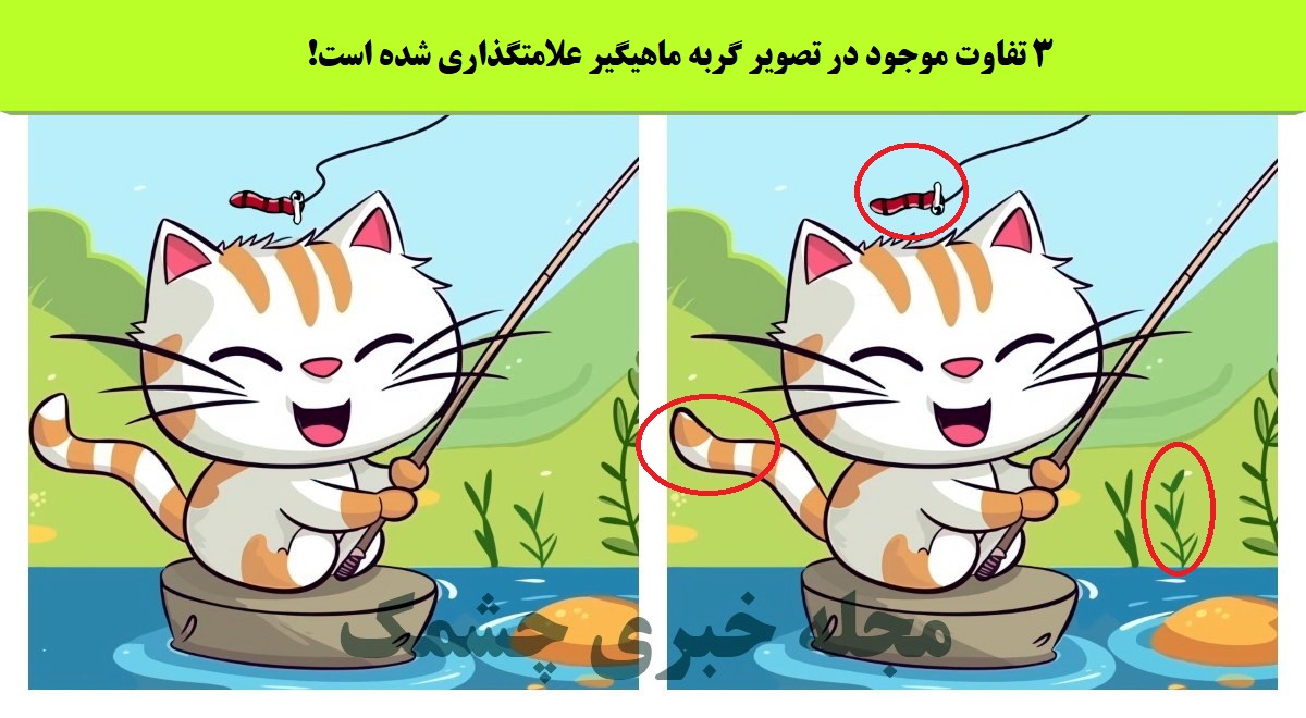 شناخت تفاوت تصویر گربه ماهیگیر 
