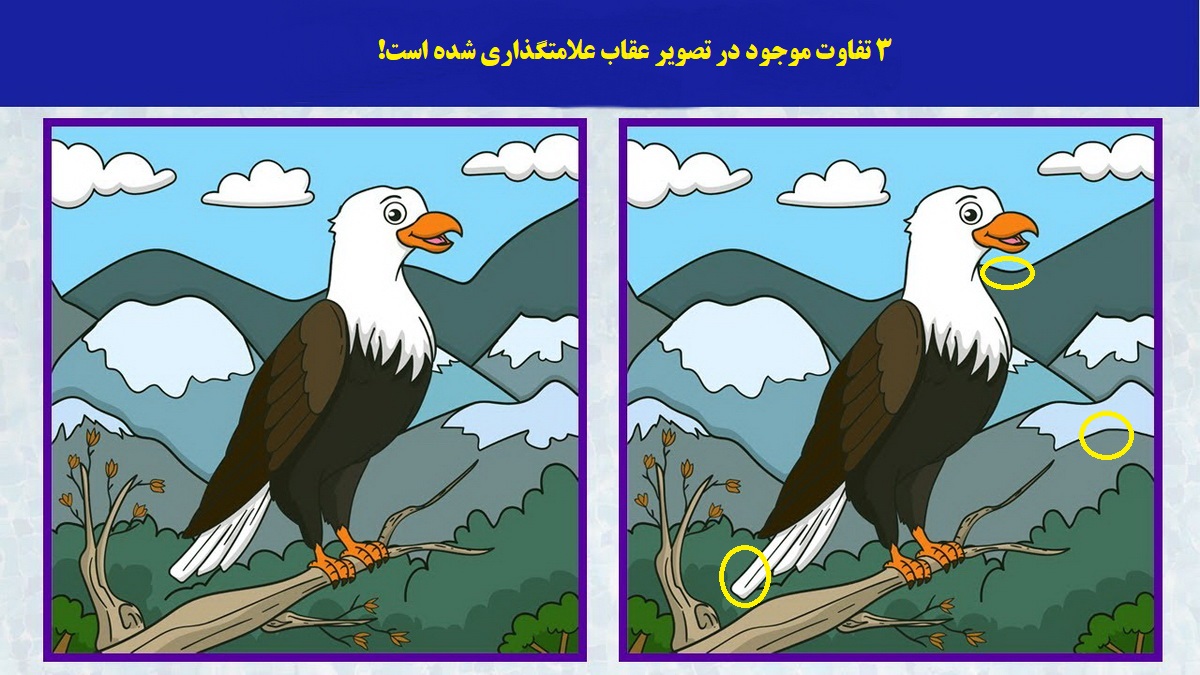شناسایی تفاوت تصویر عقاب