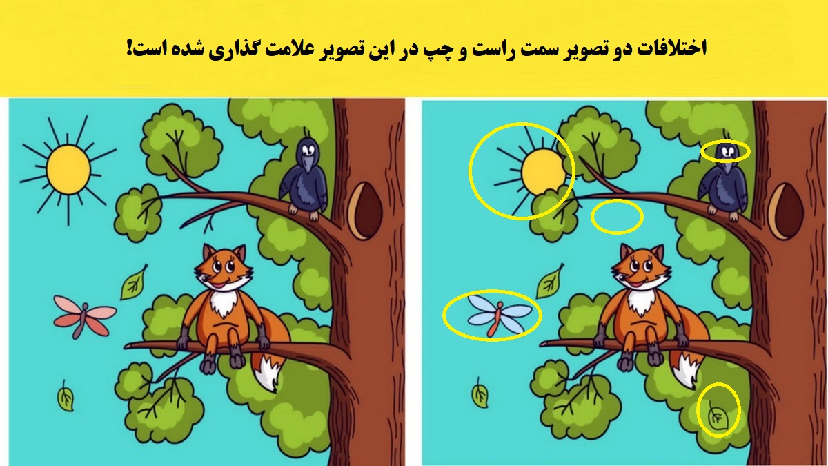 شناسایی تفاوت دو تصویر روباه
