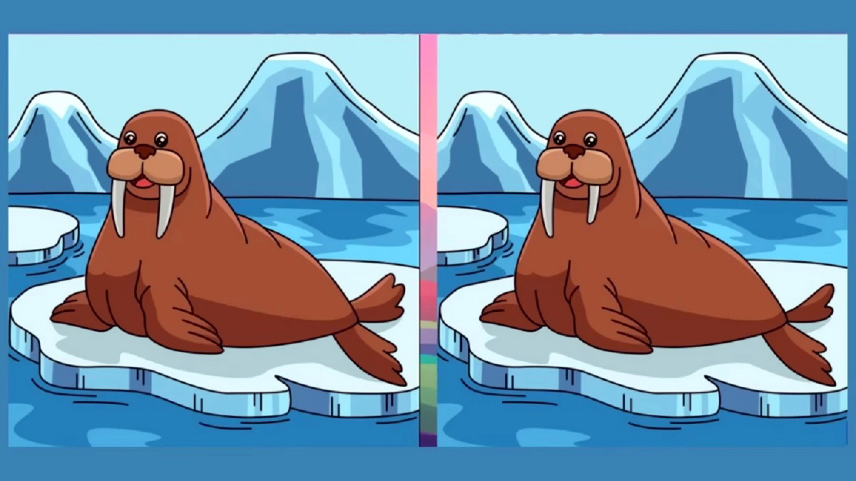 آزمون شناسایی تفاوت گراز دریایی