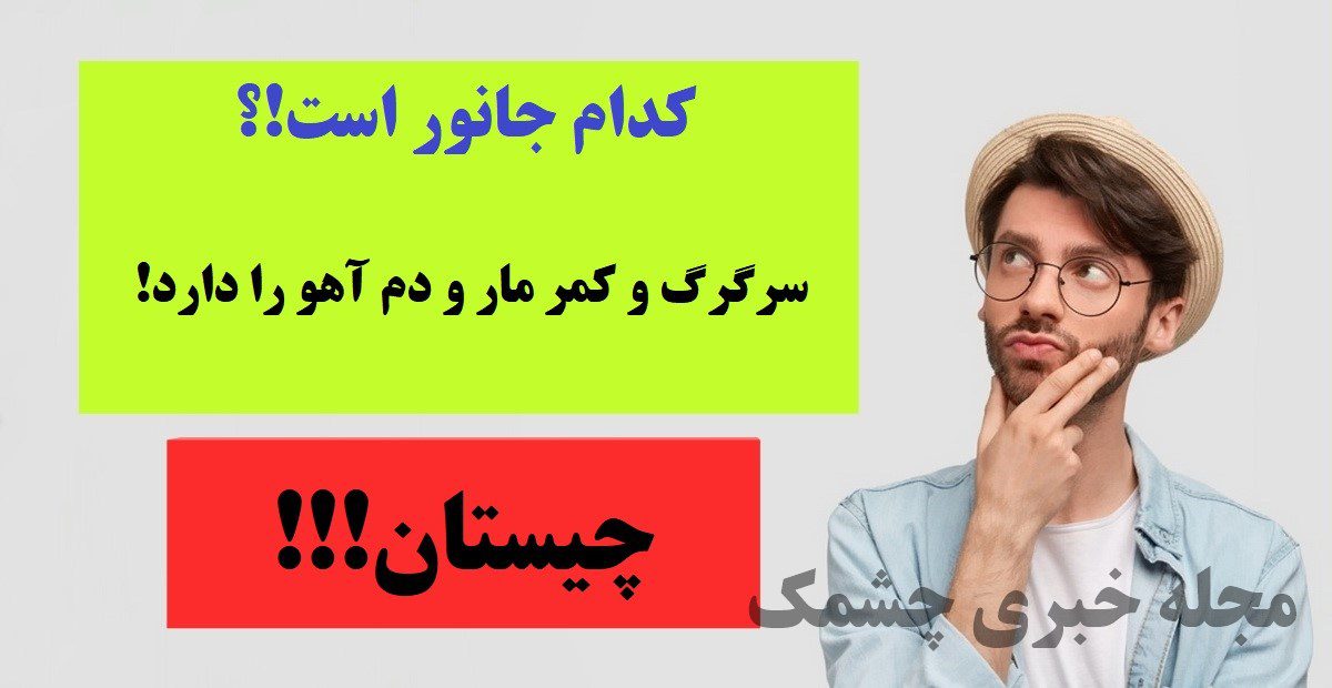 چیستان جالب 44