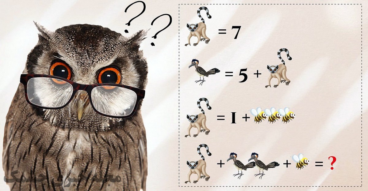 آزمون ریاضی با میمون، زنبور و پرنده