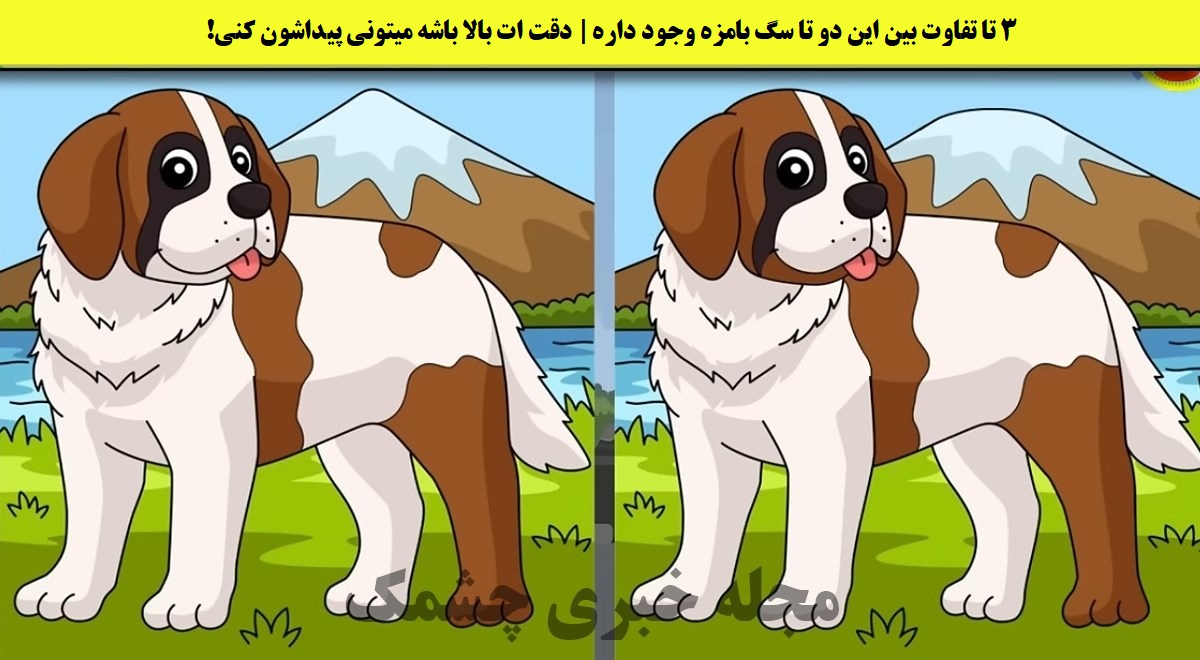 آزمون شناخت تفاوت تصویر سگ