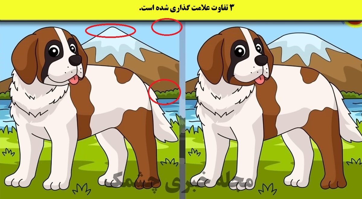  شناخت تفاوت تصویر سگ