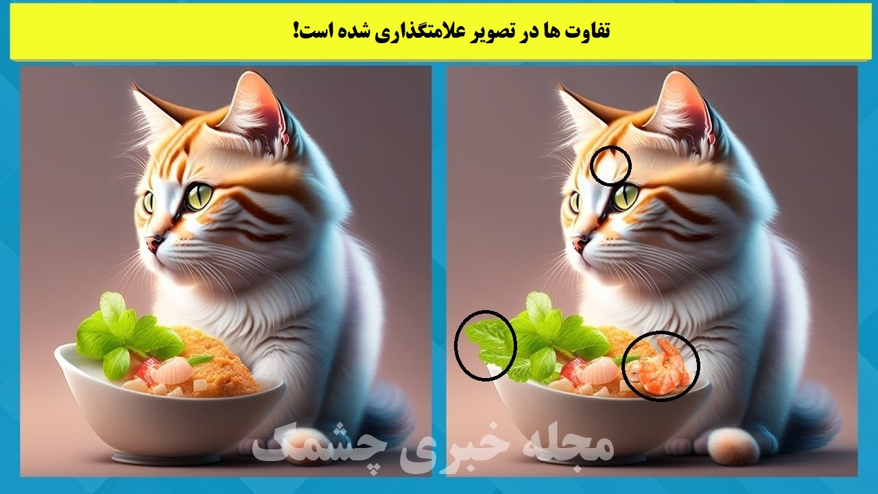 شناخت تفاوت نقاشی گربه