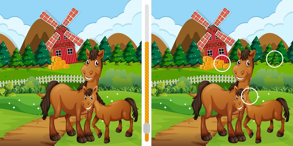 شناسایی تفاوت اسب و کره اسب