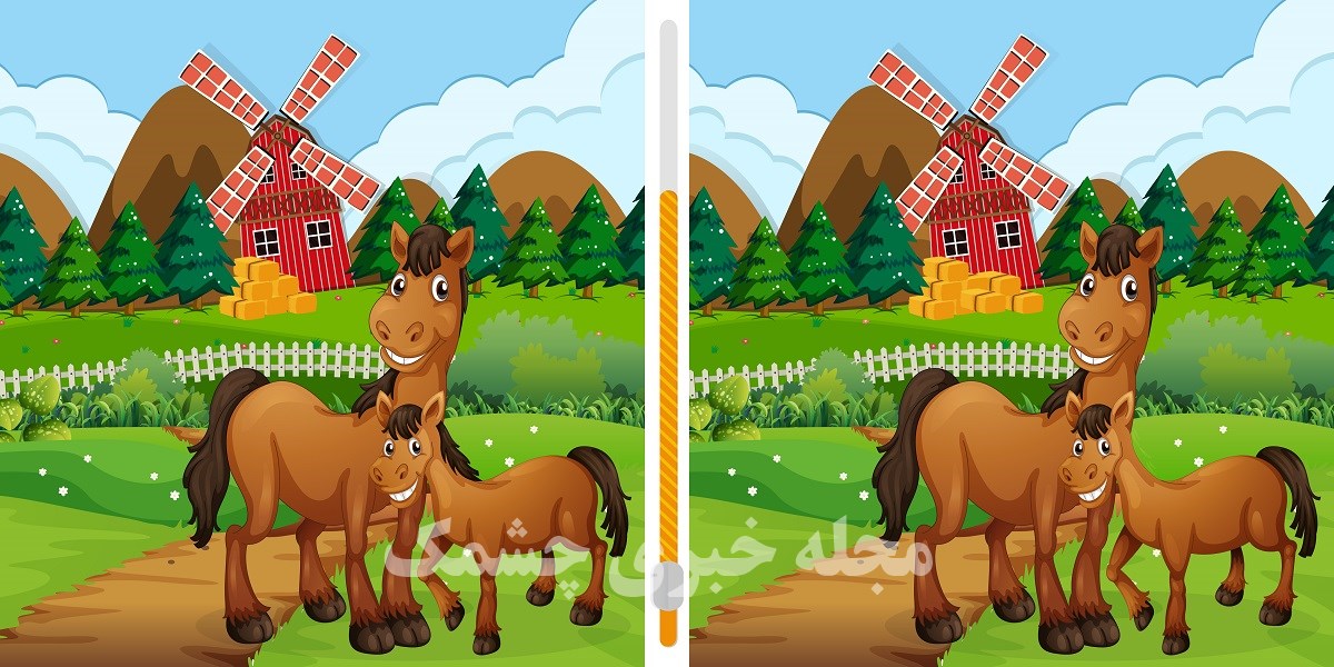 آزمون شناسایی تفاوت اسب و کره اسب