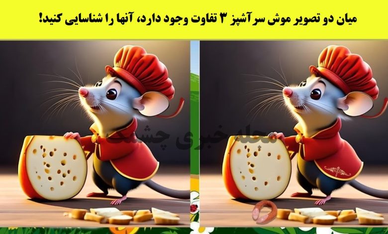 آزمون شناسایی تفاوت موش سرآشپز