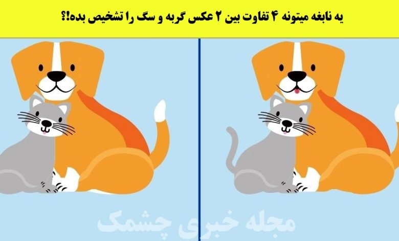 آزمون شناسایی تفاوت گربه و سگ