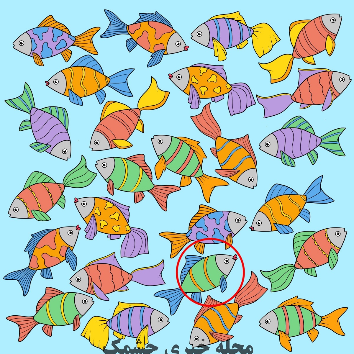 شناسایی ماهی متفاوت 