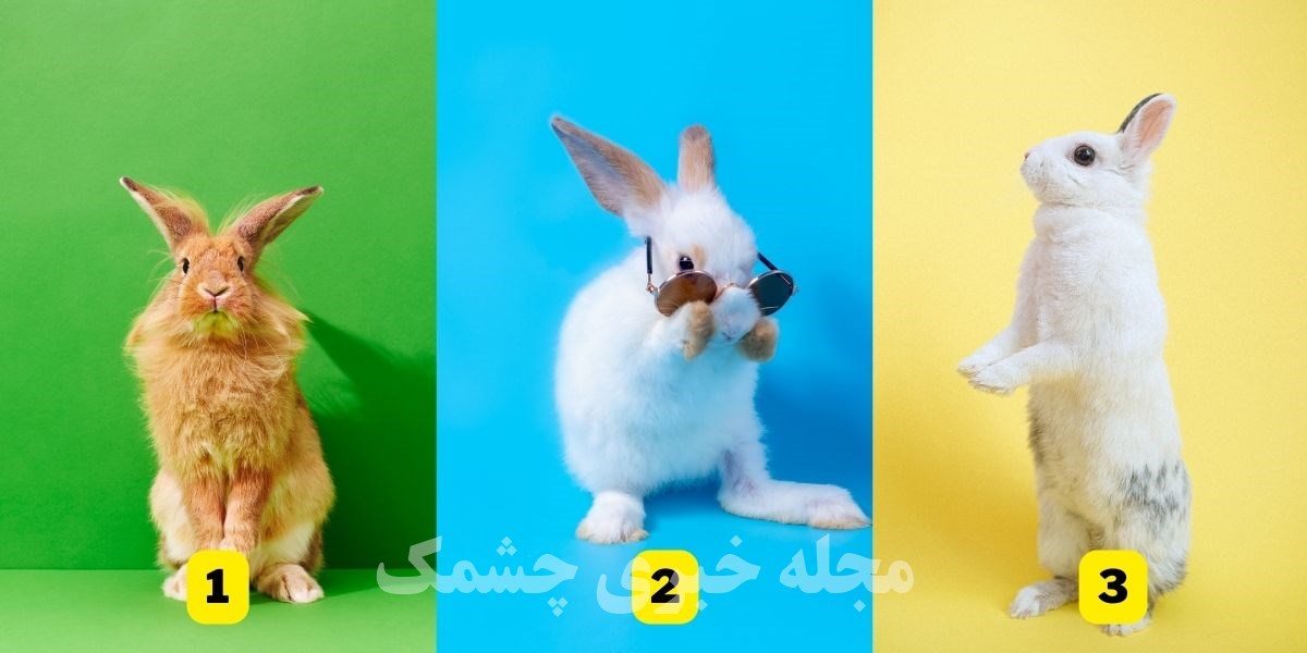 تست شخصیت براساس انتخاب خرگوش