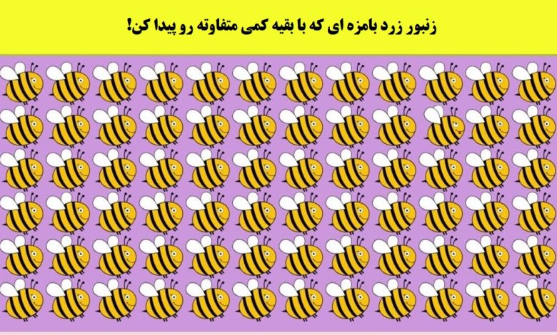 تست قدرت بینایی با زنبور متفاوت