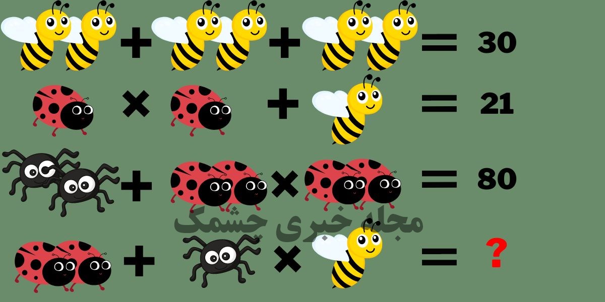 تست هوش ریاضی با حشرات