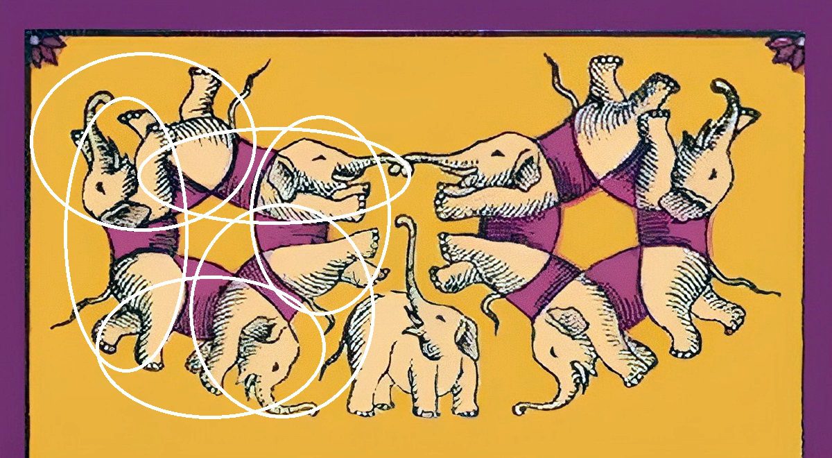 پاسخ آزمون شناخت تعداد فیل ها