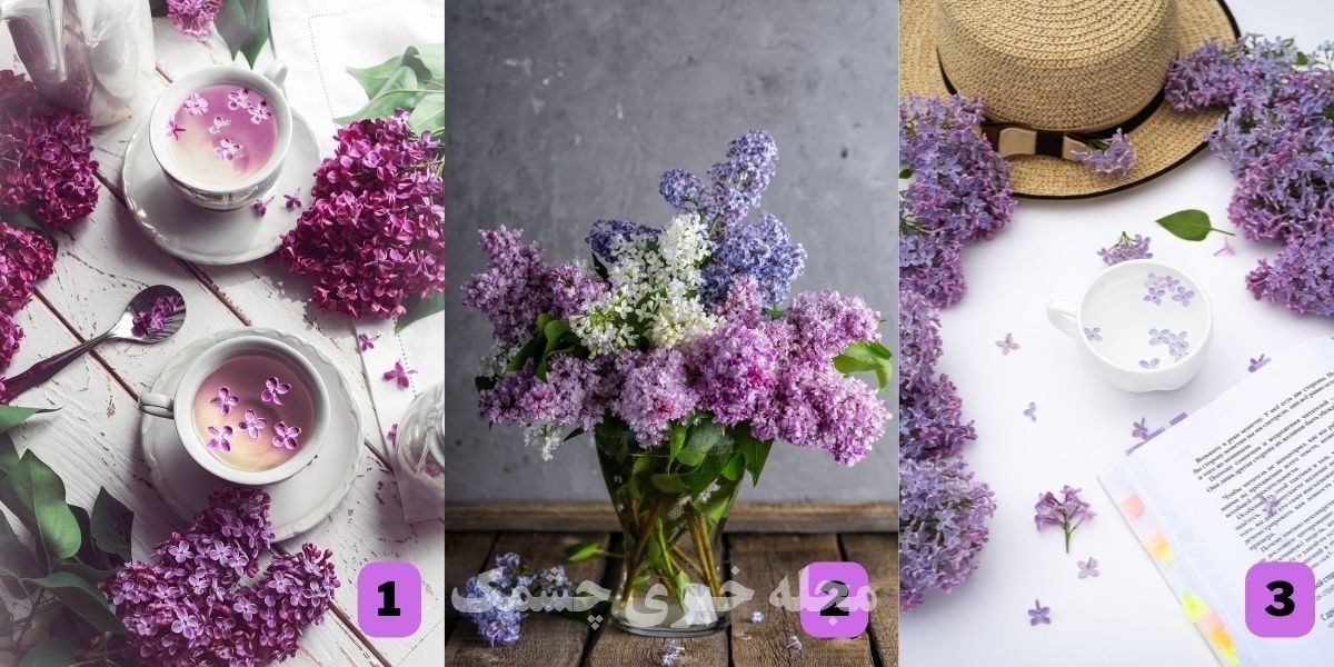 تست شخصیت با دسته گل زیبا