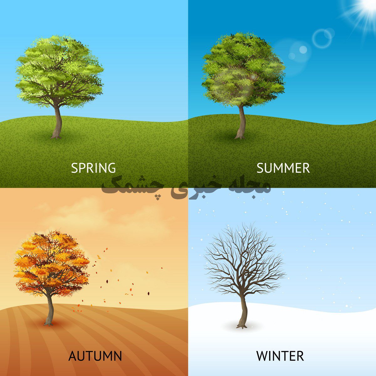 تفسیر تست شخصیت بر اساس فصل تولد