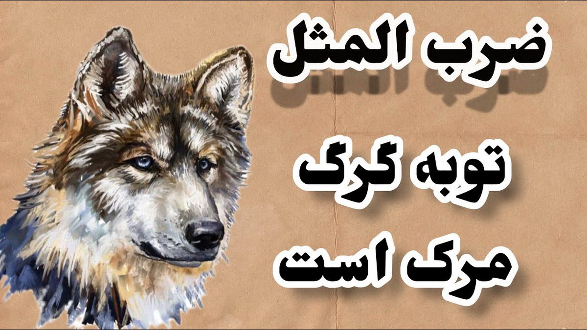 ضرب المثل توبه گرگ مرگ است