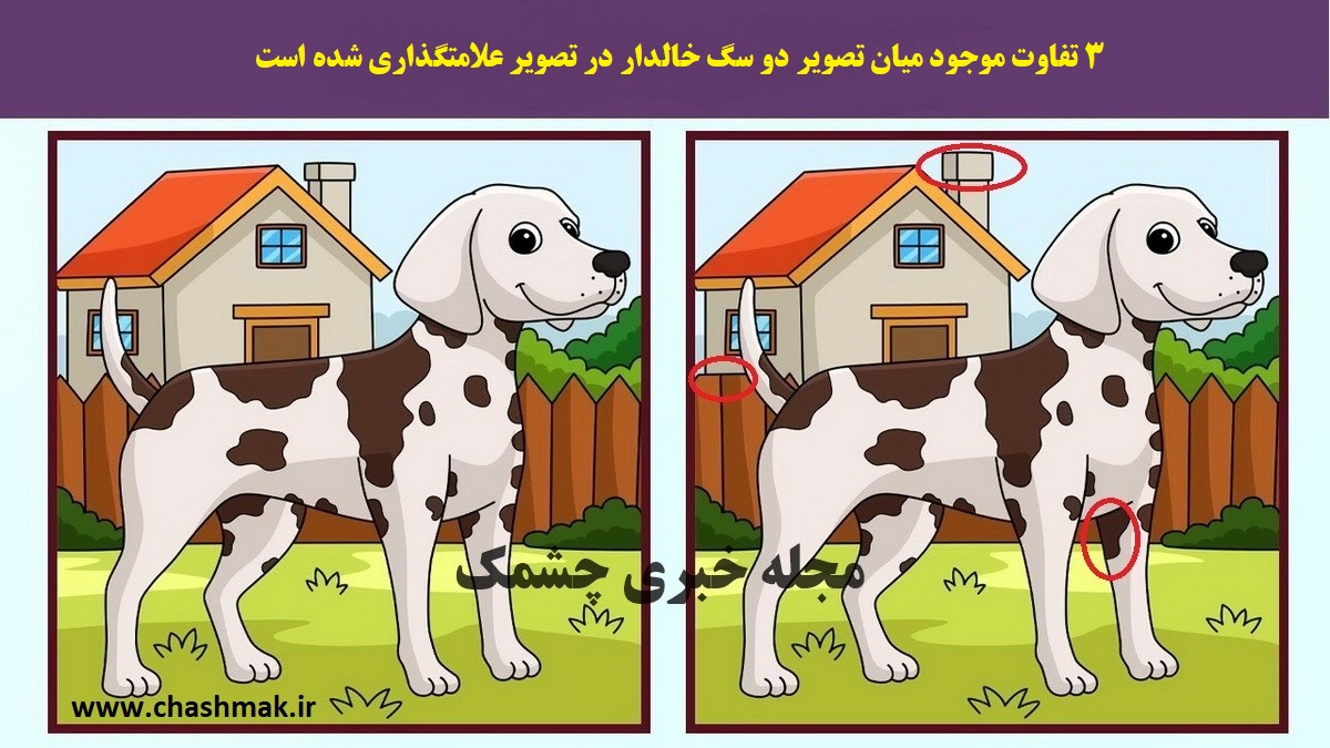 پاسخ آزمون شناخت تفاوت تصویر سگ خالدار