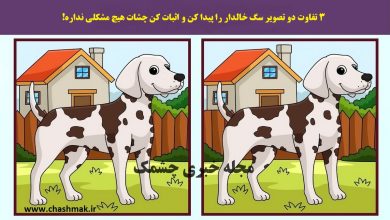 آزمون شناخت تفاوت تصویر سگ خالدار