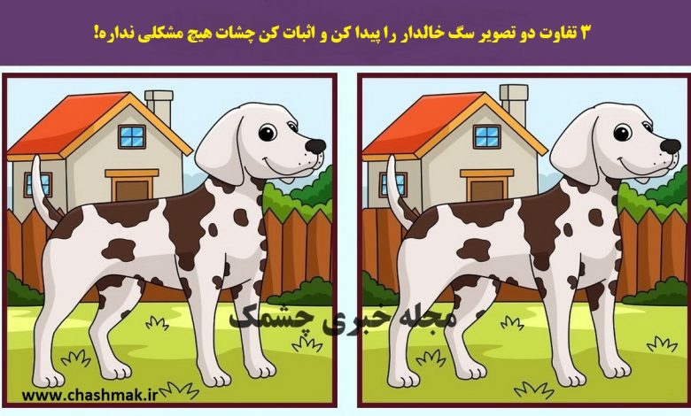 آزمون شناخت تفاوت تصویر سگ خالدار