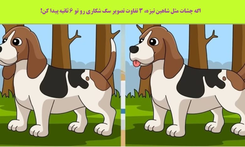 آزمون شناخت تفاوت تصویر سگ شکاری