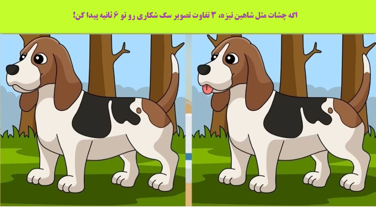 آزمون شناخت تفاوت تصویر سگ شکاری