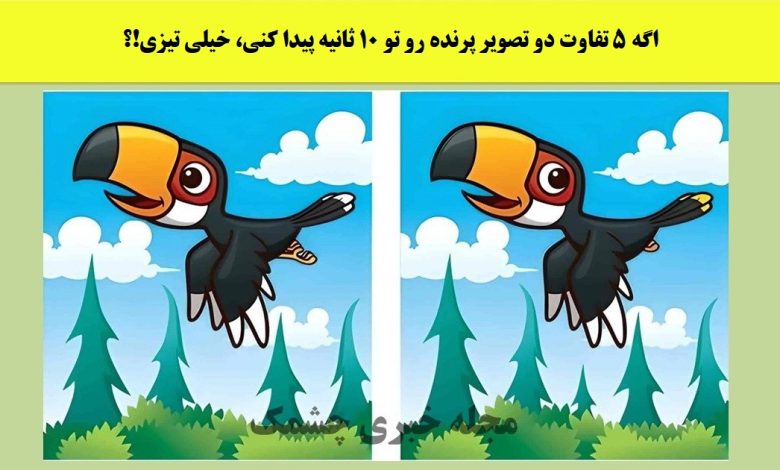 آزمون شناخت تفاوت تصویر پرنده