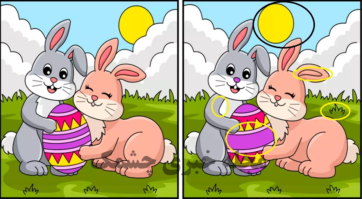 پاسخ آزمون شناسایی تفاوت تصویر دو خرگوش