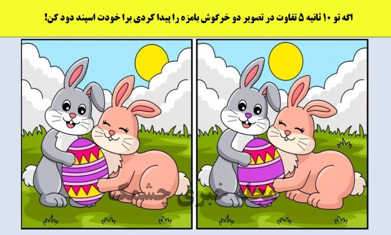 آزمون شناسایی تفاوت تصویر دو خرگوش