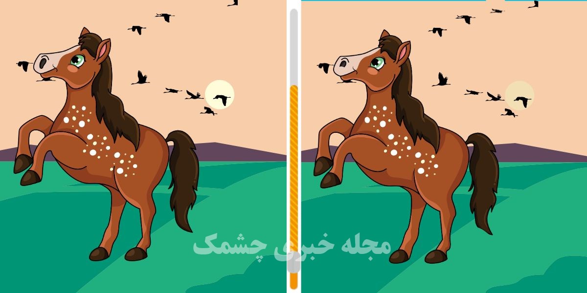 آزمون شناسایی تفاوتهای تصویر اسب