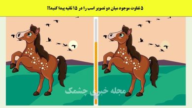 آزمون شناسایی تفاوتهای تصویر اسب