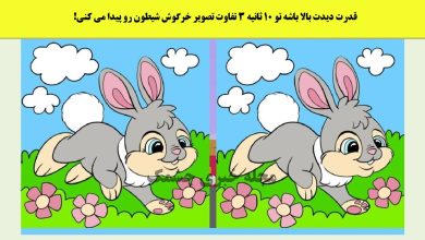 آزمون شناسایی تفاوتهای تصویر خرگوش