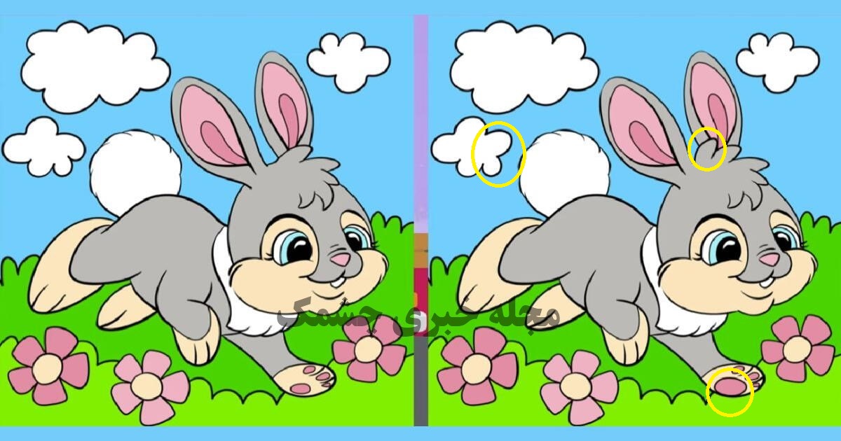 پاسخ آزمون شناسایی تفاوتهای تصویر خرگوش