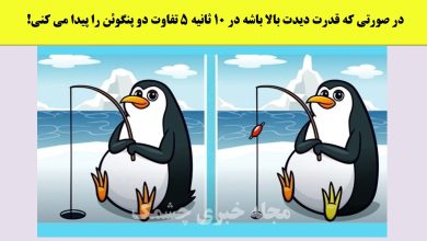 آزمون شناسایی تفاوتهای تصویر پنگوئن