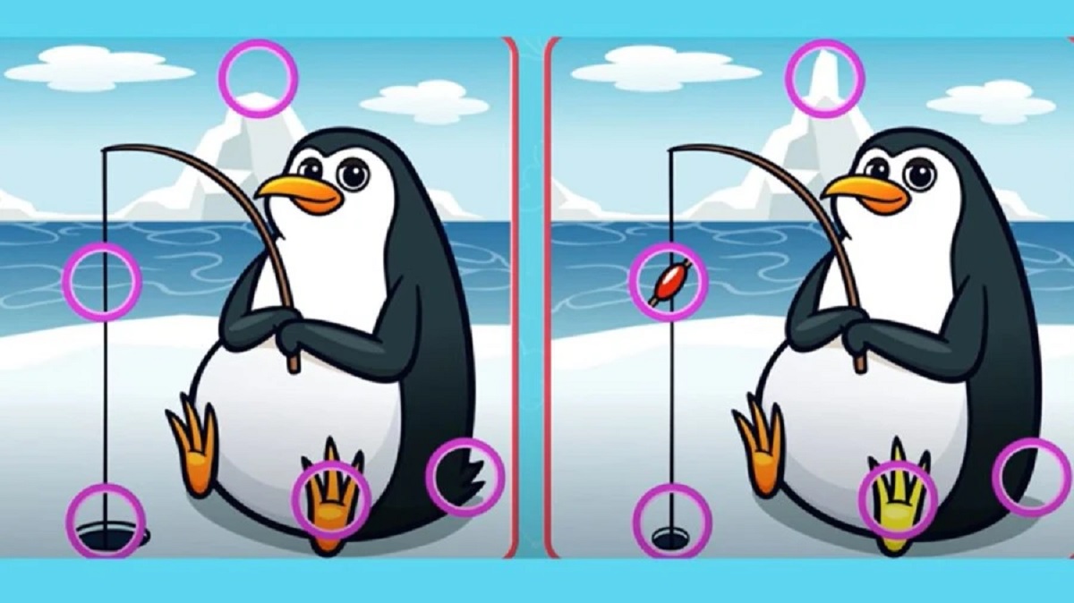 پاسخ آزمون شناسایی تفاوتهای تصویر پنگوئن
