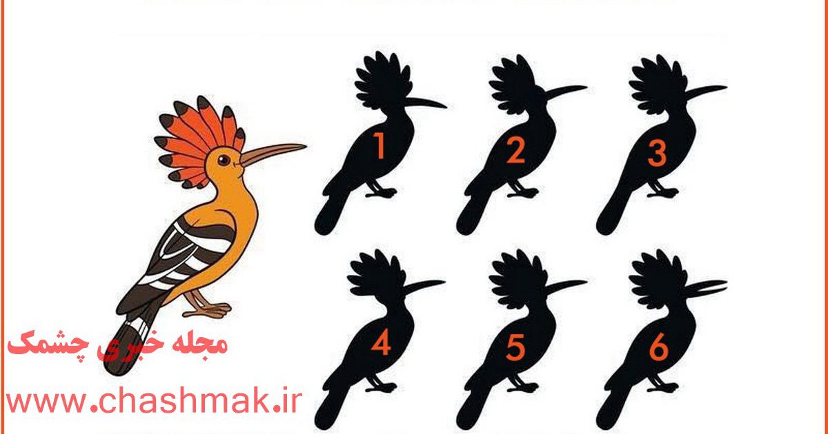 آزمون شناسایی سایه هدهد