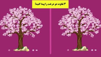 آزمون تصویری تفاوت درخت